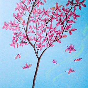 《湿点》增减板1-12
